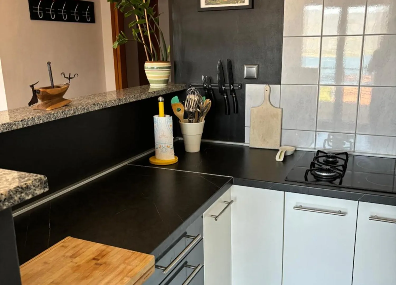 Apartment Magnolia Trogir